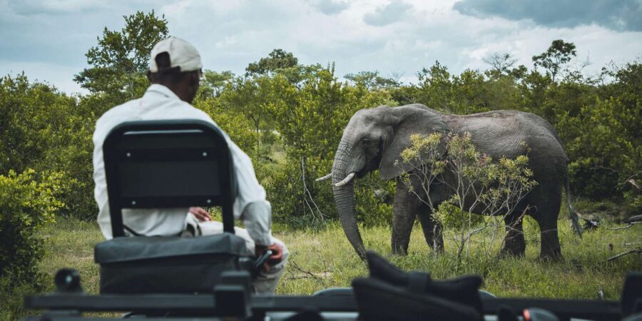 Kruger National Park half day - Comfort rules that keep everyone safe in the bush