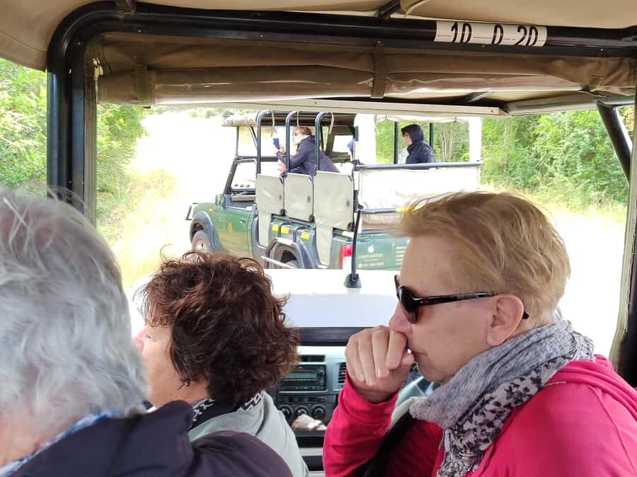 Kruger National Park half day - The first safari stretch: what you’re hoping to see before the breakfast stop