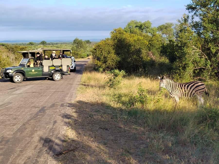 Kruger National Park half day - Getting to Kruger from Hazyview without the hassle