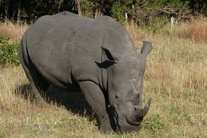 Kruger National Park Morning Game Drive from Hazyview - Second guided push toward the 11h30 exit