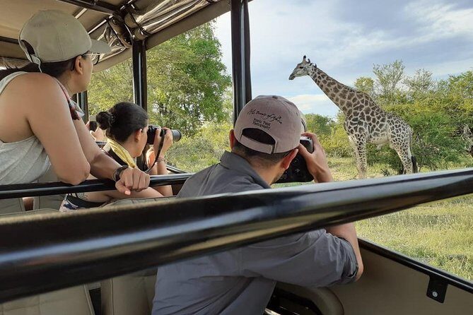 Kruger National Park Morning Safari 2 people minimum - Kruger morning safaris start at 5:00 am for a reason