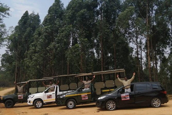 Kruger National Park Morning Safari 2 people minimum - Price and value: why $46.01 can still feel like a bargain