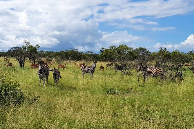 Kruger National Park & Panorama Route From Johannesburg 3 Days & 2 Nights - Price and What You Actually Get for $1,200