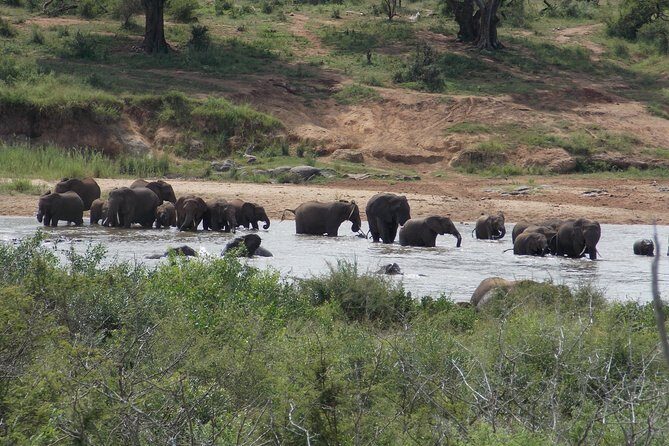 Kruger National Park - Private 3 day, 2 night safari trip. - The Real Secret Sauce: Full-Time Guides Like Gerrie Smit and Rufus
