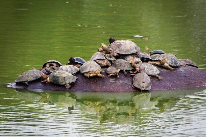 Kruger National Park - Private 3 day, 2 night safari trip. - Price and Logistics: What You Pay For (and What You Still Need to Budget)