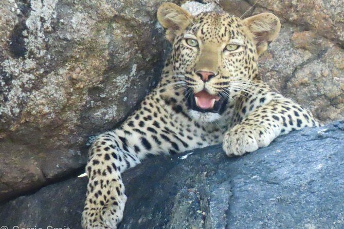 Kruger National Park - Private 3 day, 2 night safari trip. - Where You Sleep: Airconditioned Bungalows and Ensuite Privacy