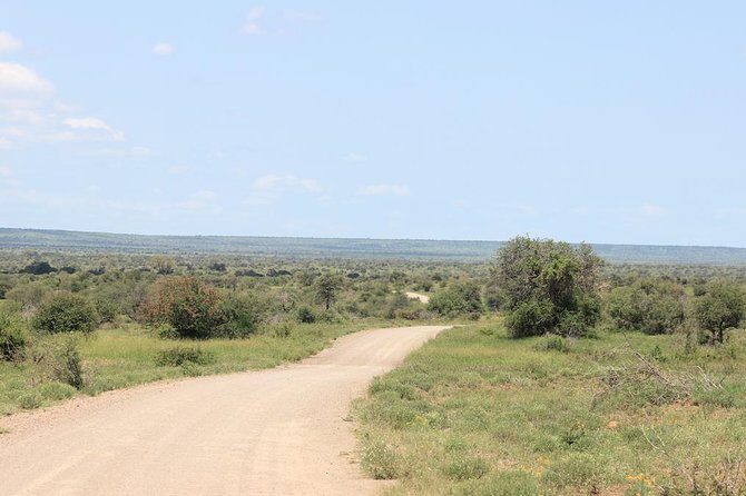 Kruger National Park Private Full-Day Safari - Private Safari Vehicle & Guide - Private Vehicle Kruger Safari: What Makes It Feel Worth It