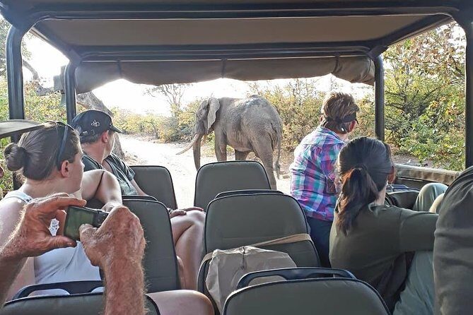 Kruger National Park Private Full-Day Safari - Private Safari Vehicle & Guide - Open Safari Vehicle Comfort: What’s Included and What You Still Need