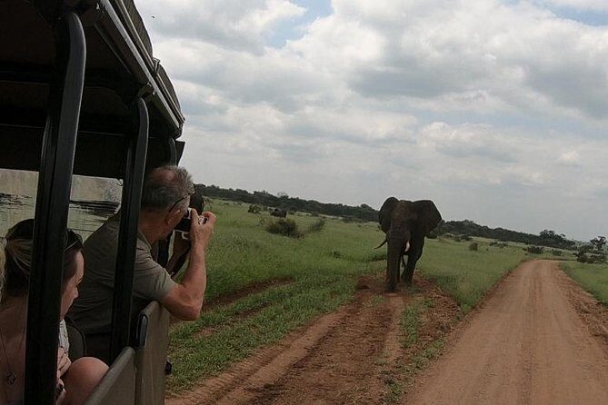 Kruger National Park Private Full-Day Safari - Private Safari Vehicle & Guide - What’s Included (And Why Those Extras Matter in the Bush)