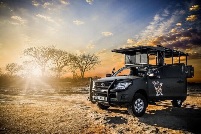 Kruger National Park Private Guided Tour - The 5:00am Start: Perfect for Wildlife, Tough on Sleep