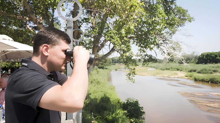 Kruger National Park Safari (Full Day) - Should you book this Kruger full-day safari?