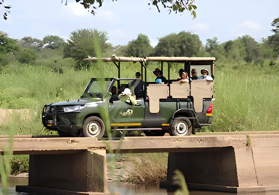Kruger National Park Safari (Full Day) - Pickup from Hazyview and nearby lodges: the easy start