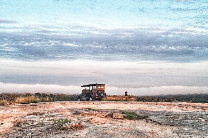Kruger National Park Sunrise Half-Day Safari Tour - Price and value check: $187.94 plus the Kruger conservation fee