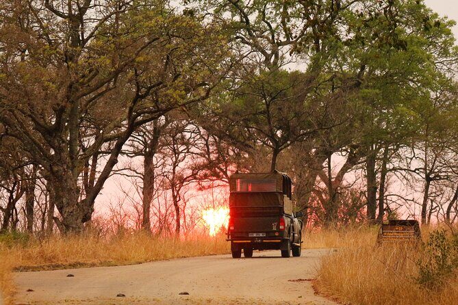 Kruger National Park sunrise Morning Private safari - A closer look at the safari day flow