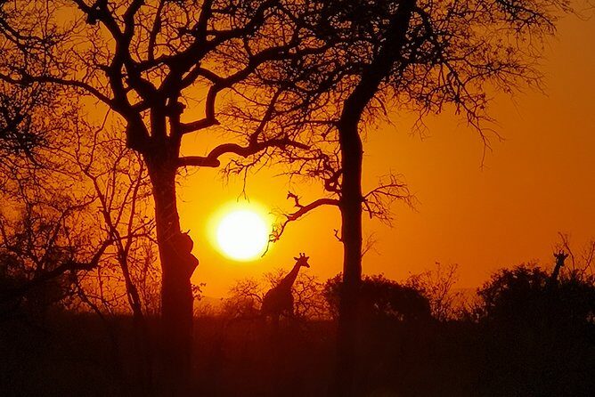 Kruger National Park - Sunset Safari trip. - Key things to know before you go
