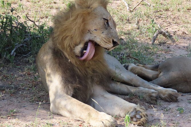 Kruger National Park - Sunset Safari trip. - Entry fees: the one cost people forget at the gate