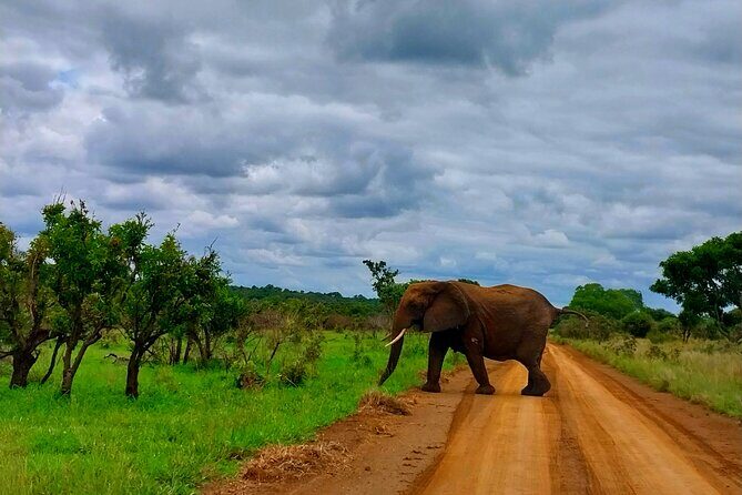 Kruger Park Full Day Guided Safari - Skukuza break at the right time (and plan for your own meals)