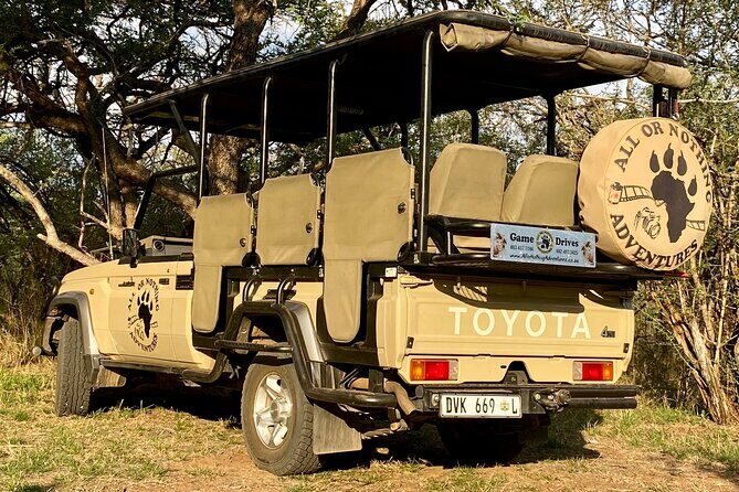 Kruger Park - Full day - Private safari vehicle - Hoedspruit pickup and the Orpen Gate route (Kapama and Thornybush en route)