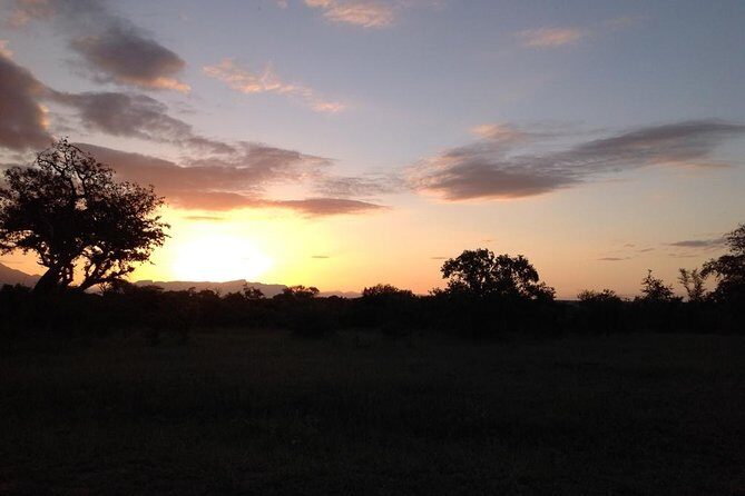 Kruger Park Safari: Guided Day Tour from Nelspruit - Who should book this day tour from Nelspruit?