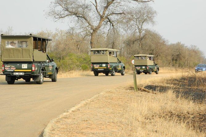 Kruger Park Safari - Half Day Game Drive from Hazyview - Stop 1 in Hazyview: easy pickup, but don’t wing the ID