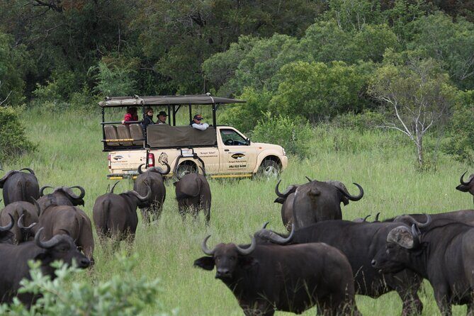 Kruger Park Safari Private Full-Day Tour from Marloth Park - Kruger at Crocodile Bridge: getting into the action sooner