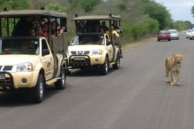 Kruger Park Safari Private Full-Day Tour from Marloth Park - The itinerary in real life: what the day feels like