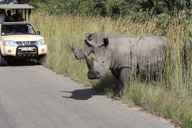 Kruger Park Safari Private Full-Day Tour from Marloth Park - Your guide’s role: more than directions