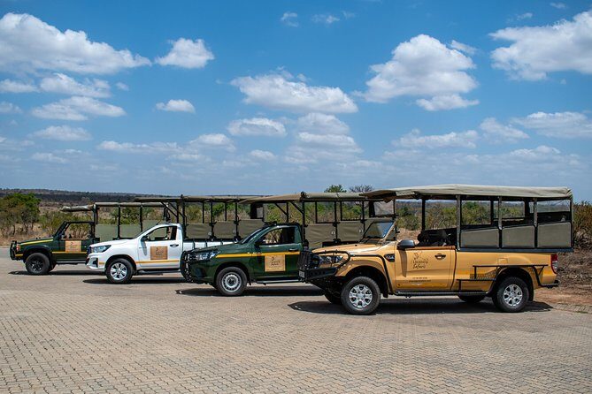 Kruger Safari Tour - Full Day - Quick Take: What Makes This Kruger Day Different