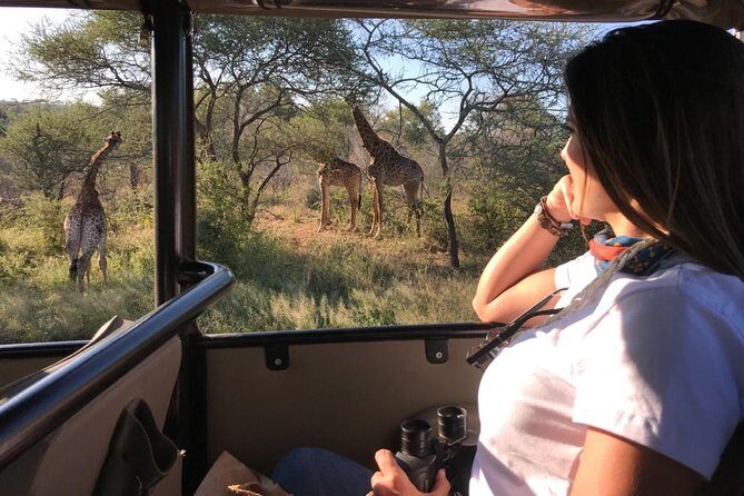 Kruger Safari Tour - Full Day - Small Group Energy: Easier Spotting and Better Ranger Control
