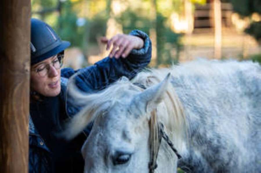 Kudu Trail Horse Riding Experience - Klein Karoo horseback riding: what the Kudu Trail actually feels like