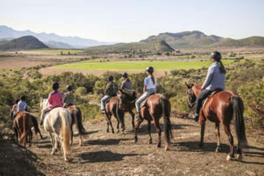 Kudu Trail Horse Riding Experience - The 90-minute ride: from saddle-up to saying goodbye