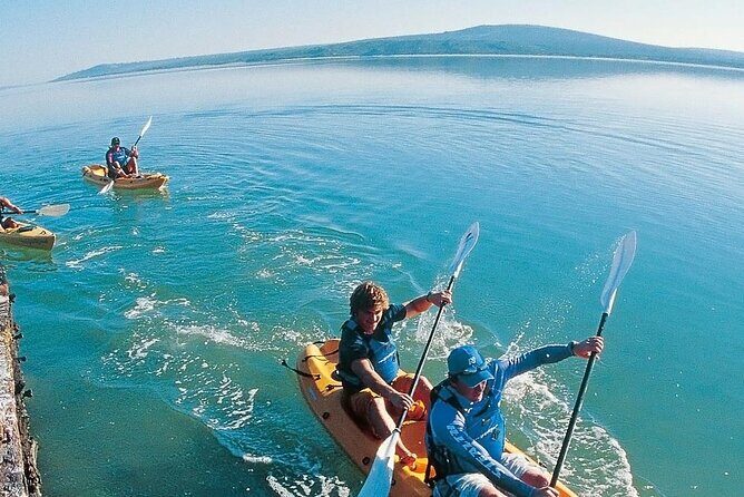 Langebaan Lagoon Island Kayak Experience - Price and value: what $31.61 really buys