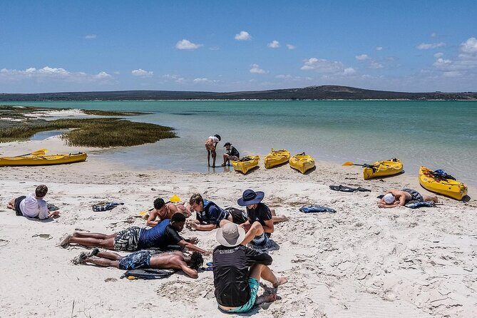 Langebaan Lagoon Island Kayak Experience - The guide experience: why Jaco’s style matters
