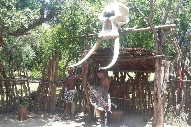 Lesedi cultural village and lion mini safari - Who this tour fits best (and who should tweak expectations)
