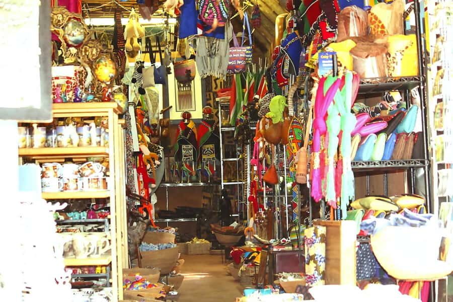 Lesedi Cultural Village Half-Day Tour - Inside the village: guided groups, homesteads, and planned pacing