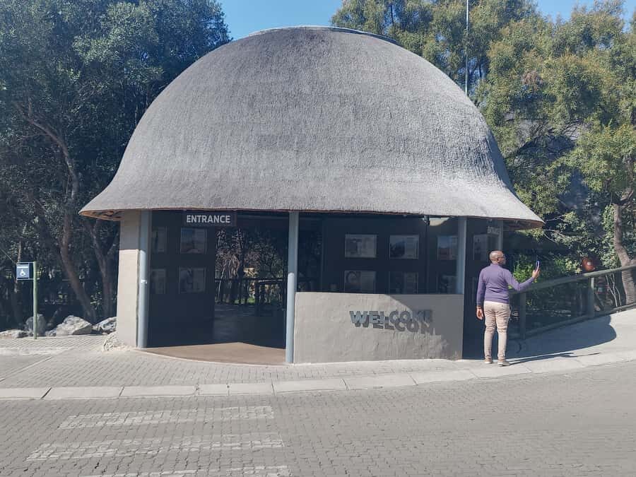 Lion park - Tour Snapshot: Timing, Where You Go, and Who It Fits