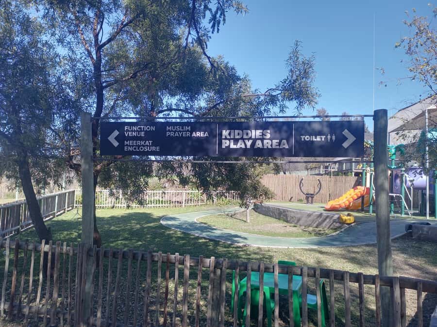 Lion park - Pickup and Timing: What the 8:00am to 13:00 Drop-Off Plan Really Means