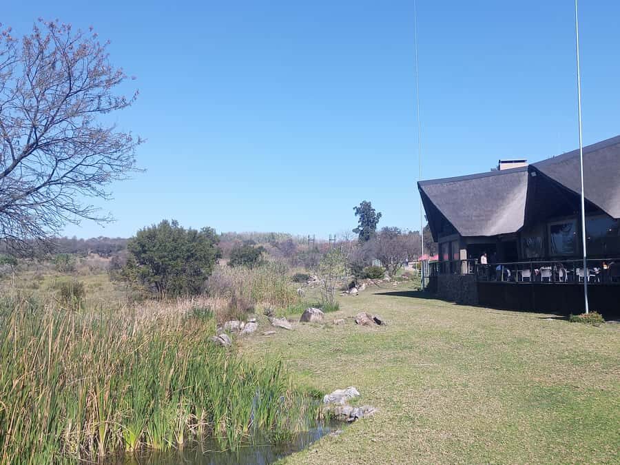 Lion park - Should You Book Lion Park?