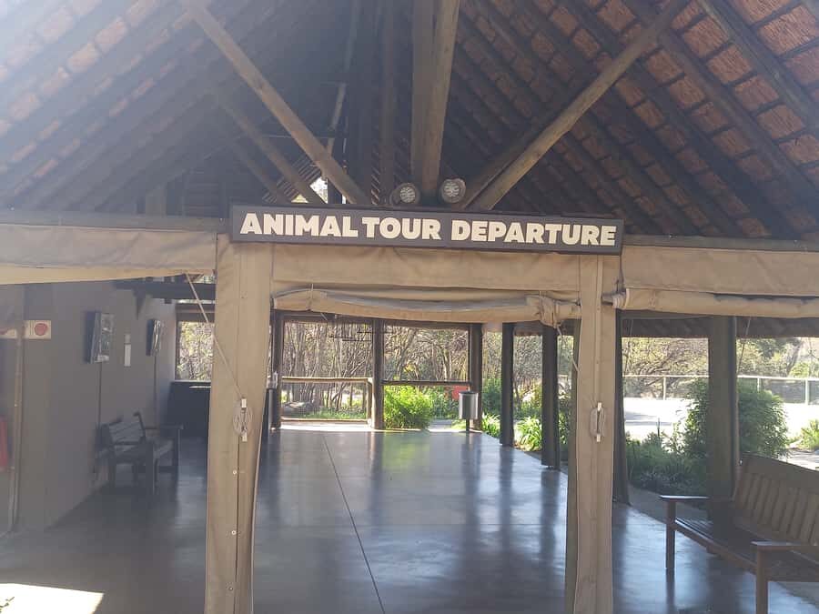 Lion park - The Safari Drive Through Lion, Cheetah, and Wild Dog Enclosures