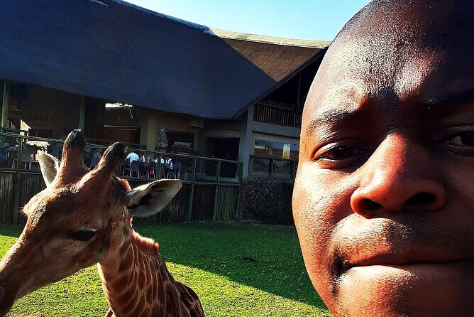 Lion safari park tour(Half-day) - Pickup, WiFi, and the comfort factor that makes the drive easier