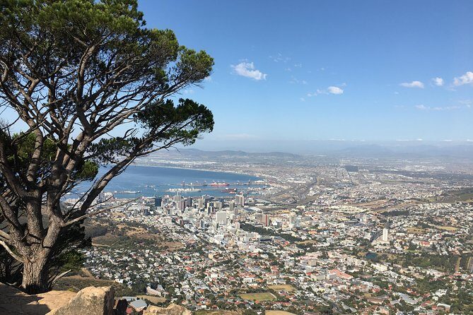 Lion's Head Hike - Private Tour - Who this private Lion’s Head hike suits best