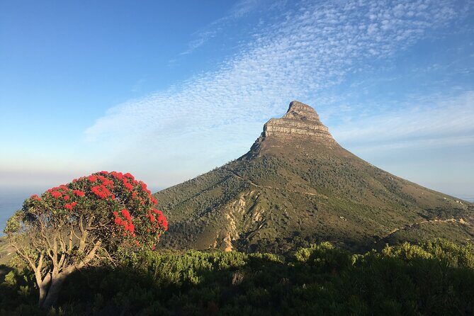 Lion's Head Hike-sunrise/sunset with professional private guide - Key things you should know before you go