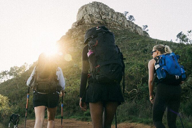 Lion's Head Hike-sunrise/sunset with professional private guide - From Signal Hill Road to the first steps: what the start feels like