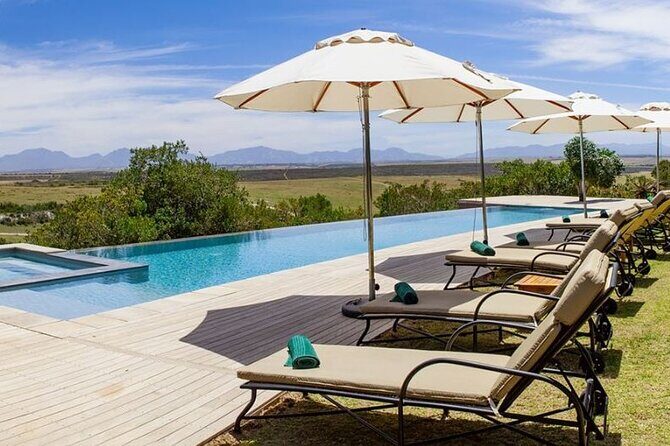 Luxury 2-Day In & Out Garden Route Safari Tour - Day 2 Sunrise Game Drive: Where the Morning Light Helps