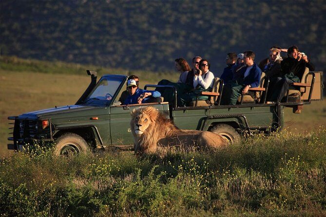 Luxury 2-Day In & Out Garden Route Safari Tour - Cape Agulhas: Southern-Most Africa and the Atlantic-Indian Line