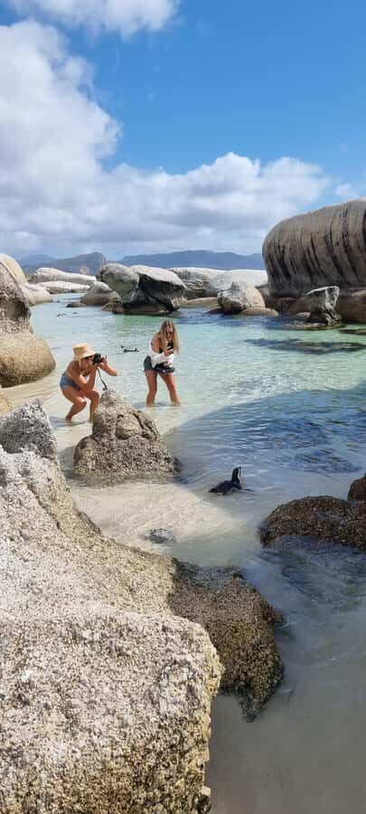 Luxury Cape of Good Hope & Penguin Tour - Chapman’s Peak Drive: the best scenic stretch isn’t just a drive