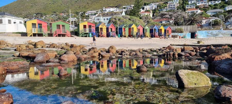 Luxury Cape of Good Hope & Penguin Tour - Hout Bay and the coastal photo rhythm