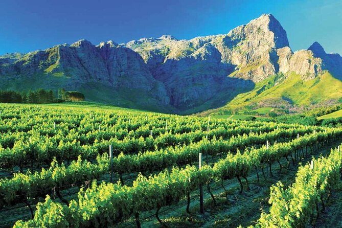 Luxury Wine Tour with Lunch - Price and value: what you’re paying for