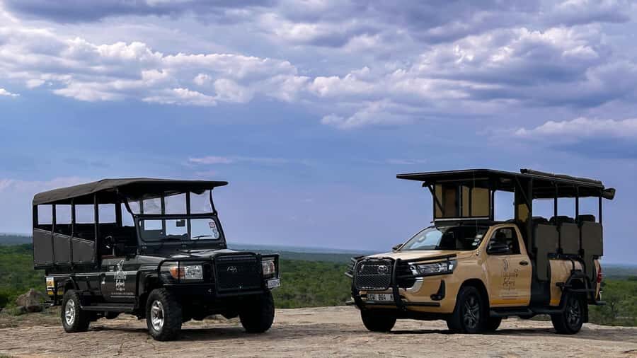 Malelane & Komtipoort: Kruger National Park Full-Day Safari - Key Highlights You’ll Feel Right Away