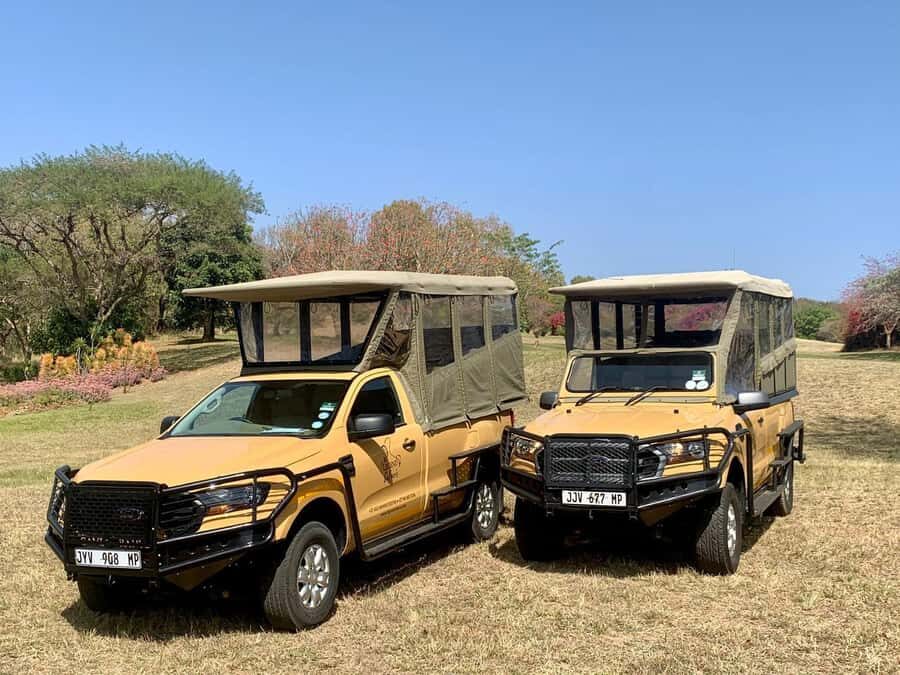 Malelane & Komtipoort: Kruger National Park Full-Day Safari - What You Might See: Big Five Targets Plus Daily Kruger Wildlife